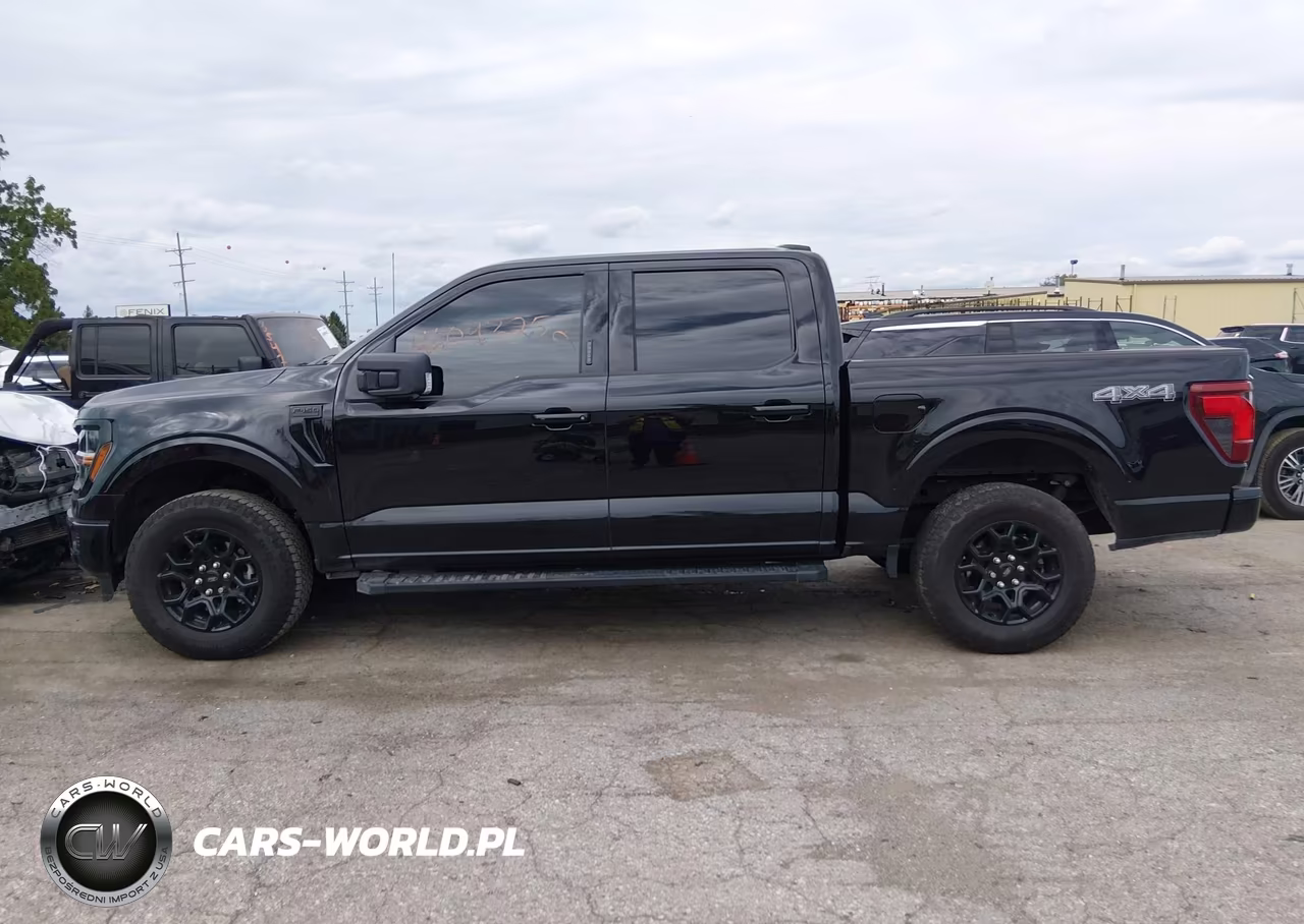 2024 Ford F-150 Xlt VIN:1FTEW3LP1RKE11049 - 14