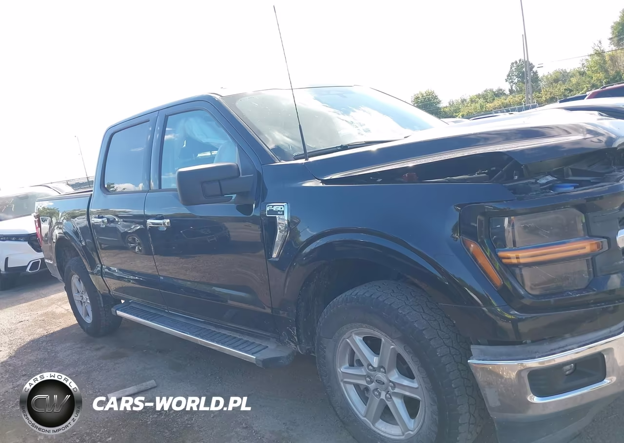 2025 Ford F-150 Xlt VIN:1FTEW3LP1SKF57666 - 13