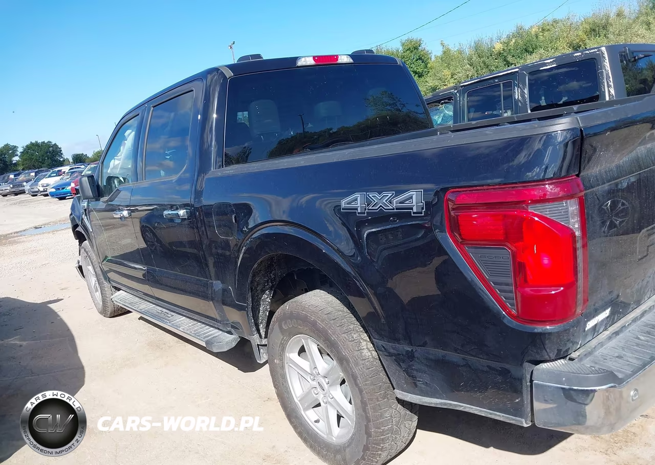 2025 Ford F-150 Xlt VIN:1FTEW3LP1SKF57666 - 14