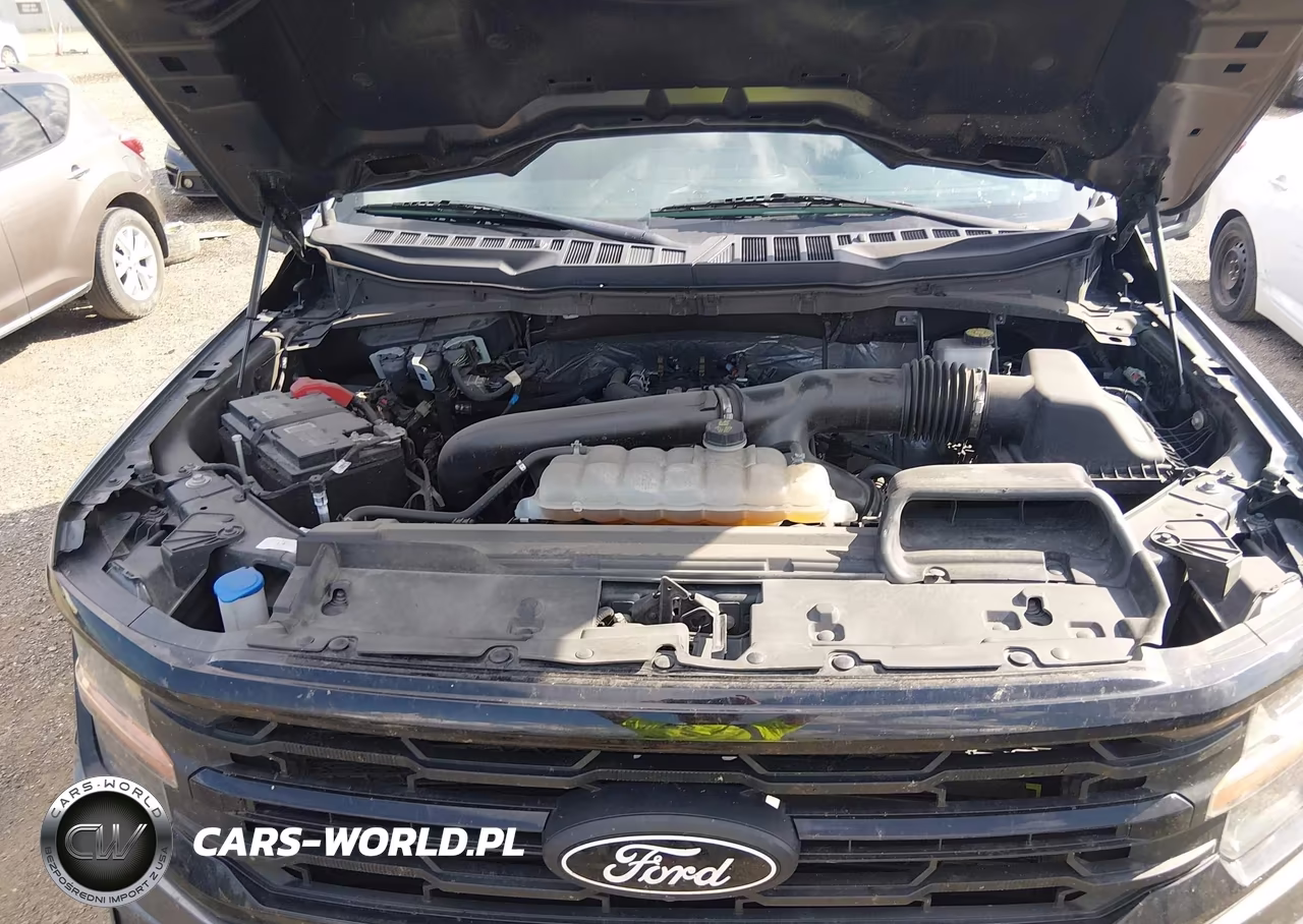 2024 Ford F-150 Xlt VIN:1FTFW3L81RKE60216 - 10