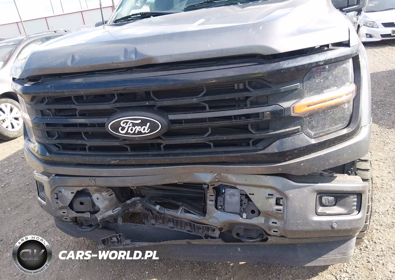 2024 Ford F-150 Xlt VIN:1FTFW3L81RKE60216 - 6