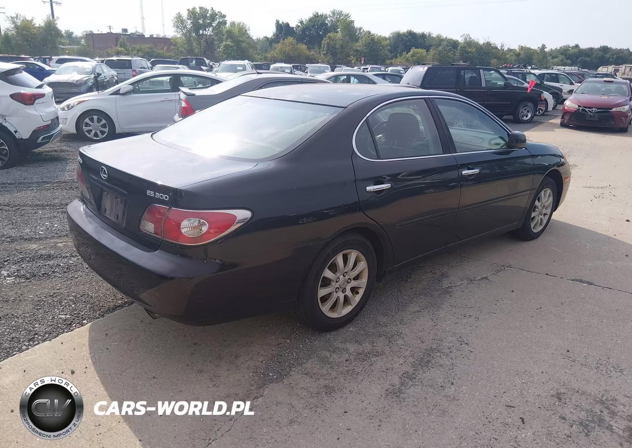 2003 Lexus Es 300 VIN:JTHBF30G230102702 - 4
