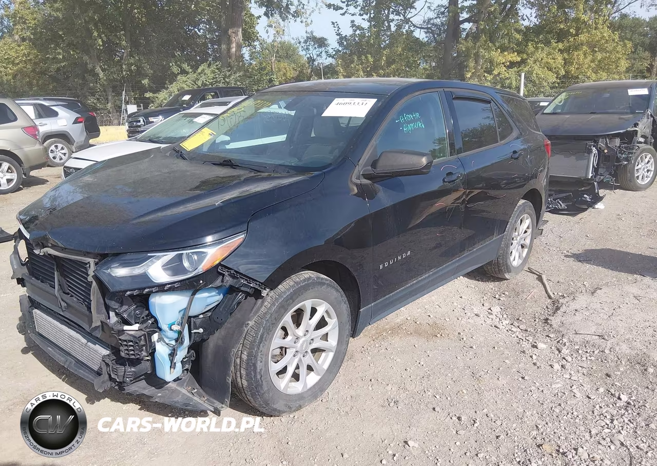 2019 Chevrolet Equinox Ls VIN:3GNAXHEV2KL242210 - 2