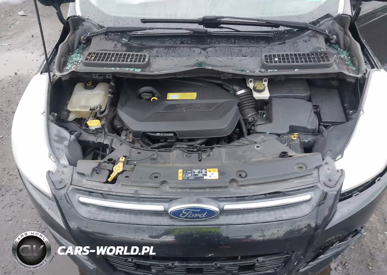 2014 Ford Escape Se VIN:1FMCU9GX2EUA46949 - 10