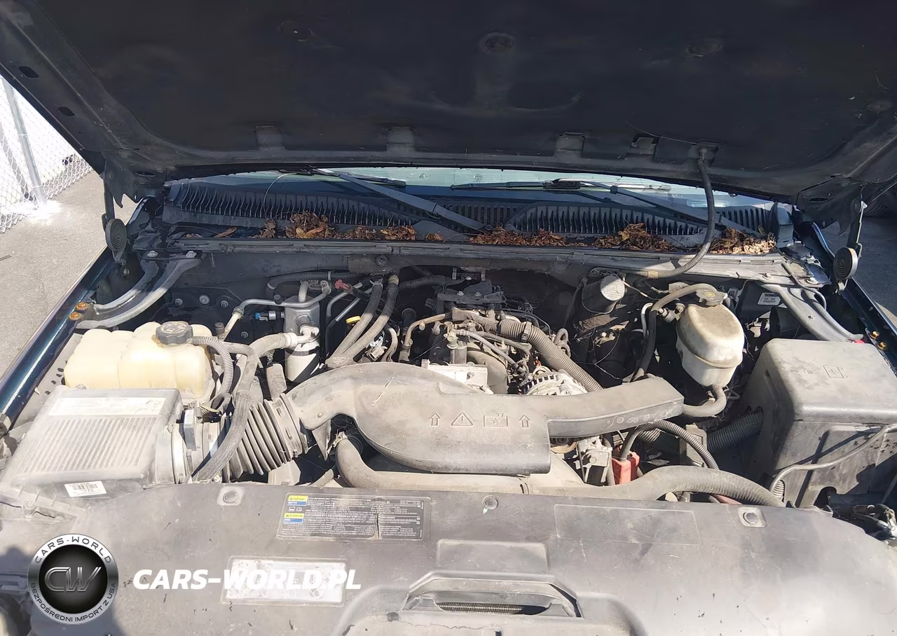 2004 Chevrolet Tahoe Lt VIN:1GNEC13Z04R270982 - 10