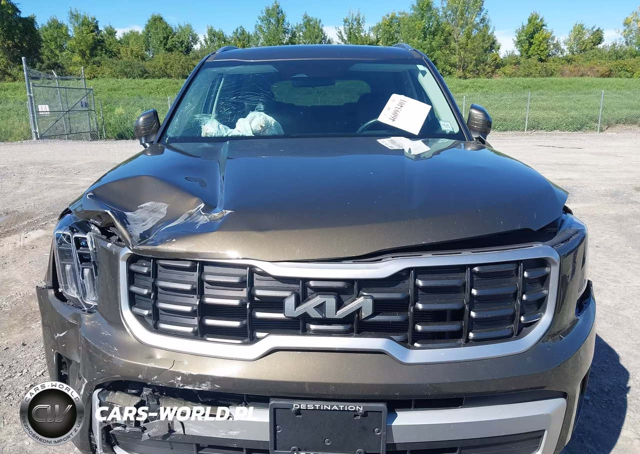 2025 Kia Telluride S VIN:5XYP6DGC2SG613402 - 12
