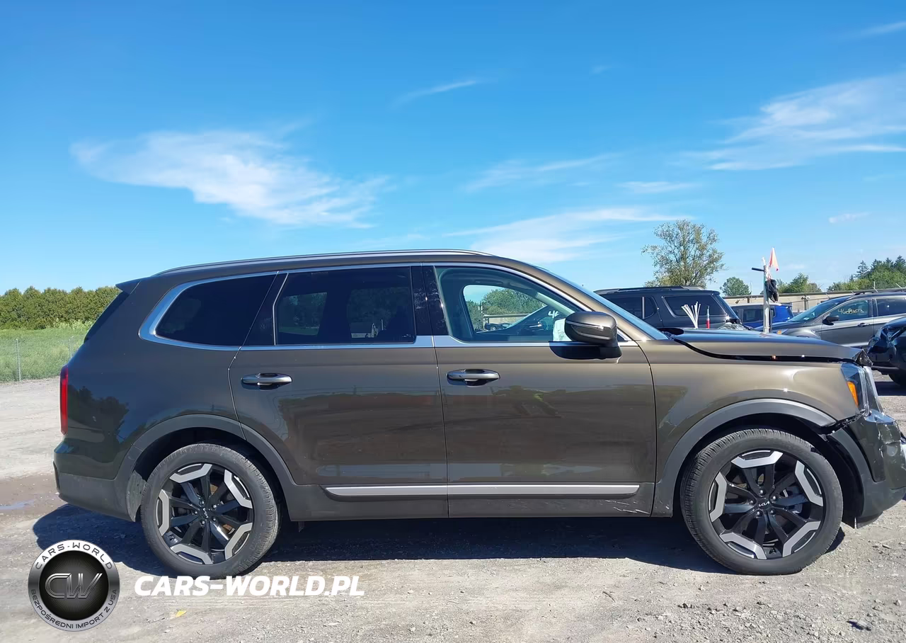 2025 Kia Telluride S VIN:5XYP6DGC2SG613402 - 13