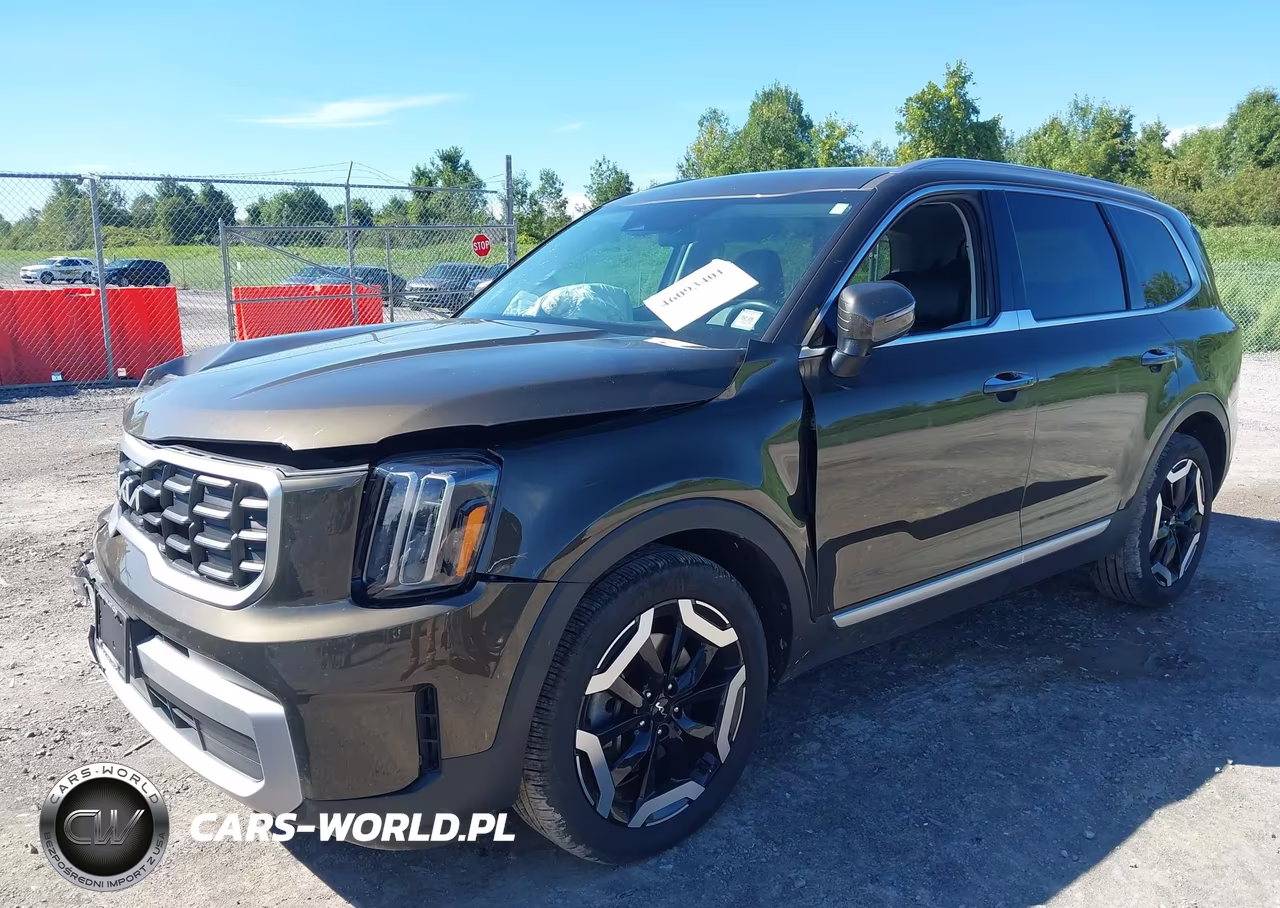 2025 Kia Telluride S VIN:5XYP6DGC2SG613402 - 2