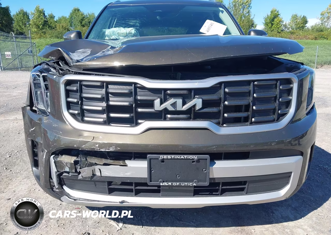 2025 Kia Telluride S VIN:5XYP6DGC2SG613402 - 6