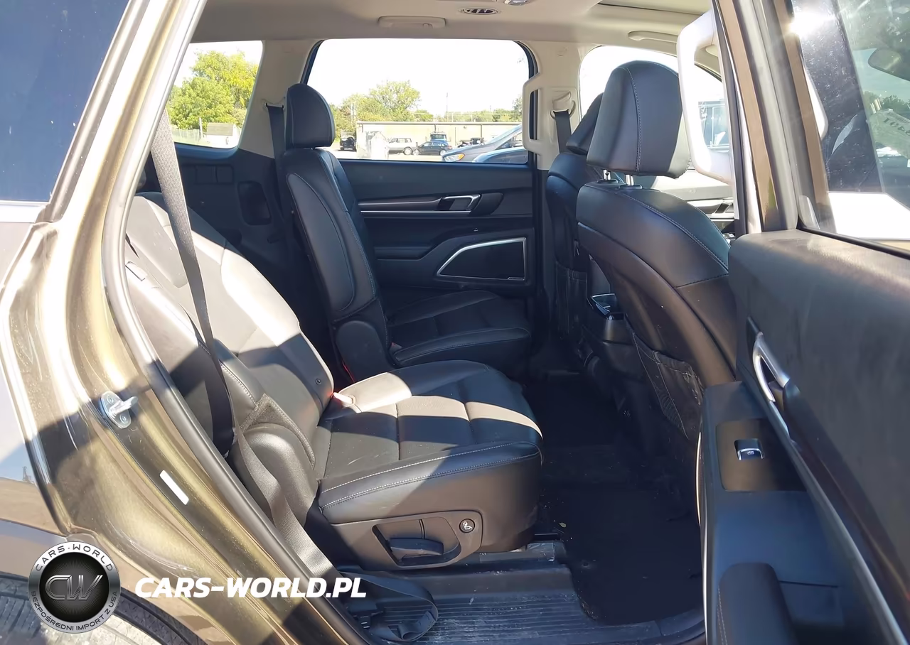 2025 Kia Telluride S VIN:5XYP6DGC2SG613402 - 8