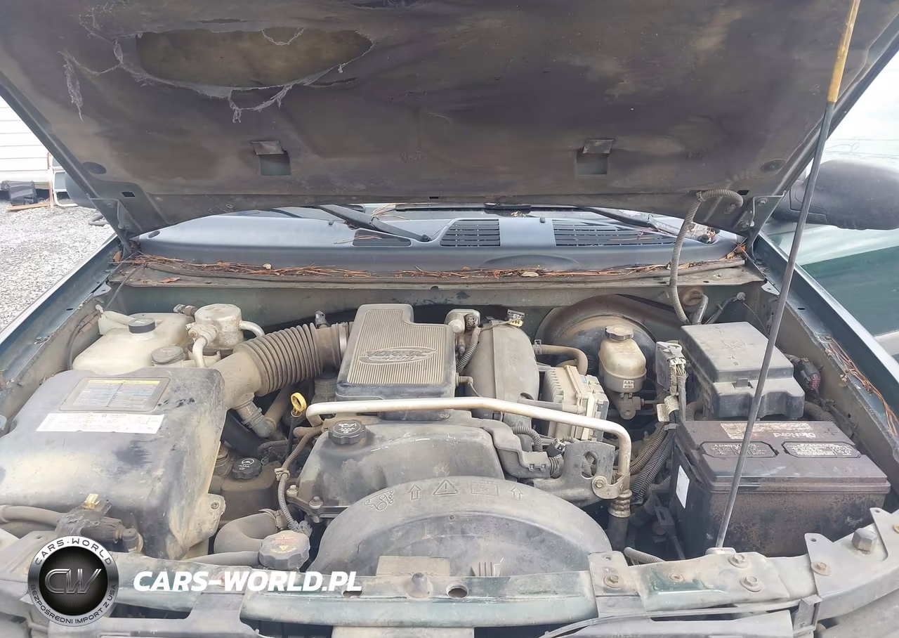 2004 Chevrolet Trailblazer Ls VIN:1GNDT13S842100716 - 10