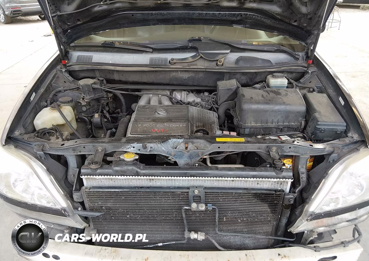 2001 Lexus Rx 300 VIN:JTJGF10UX10093601 - 10