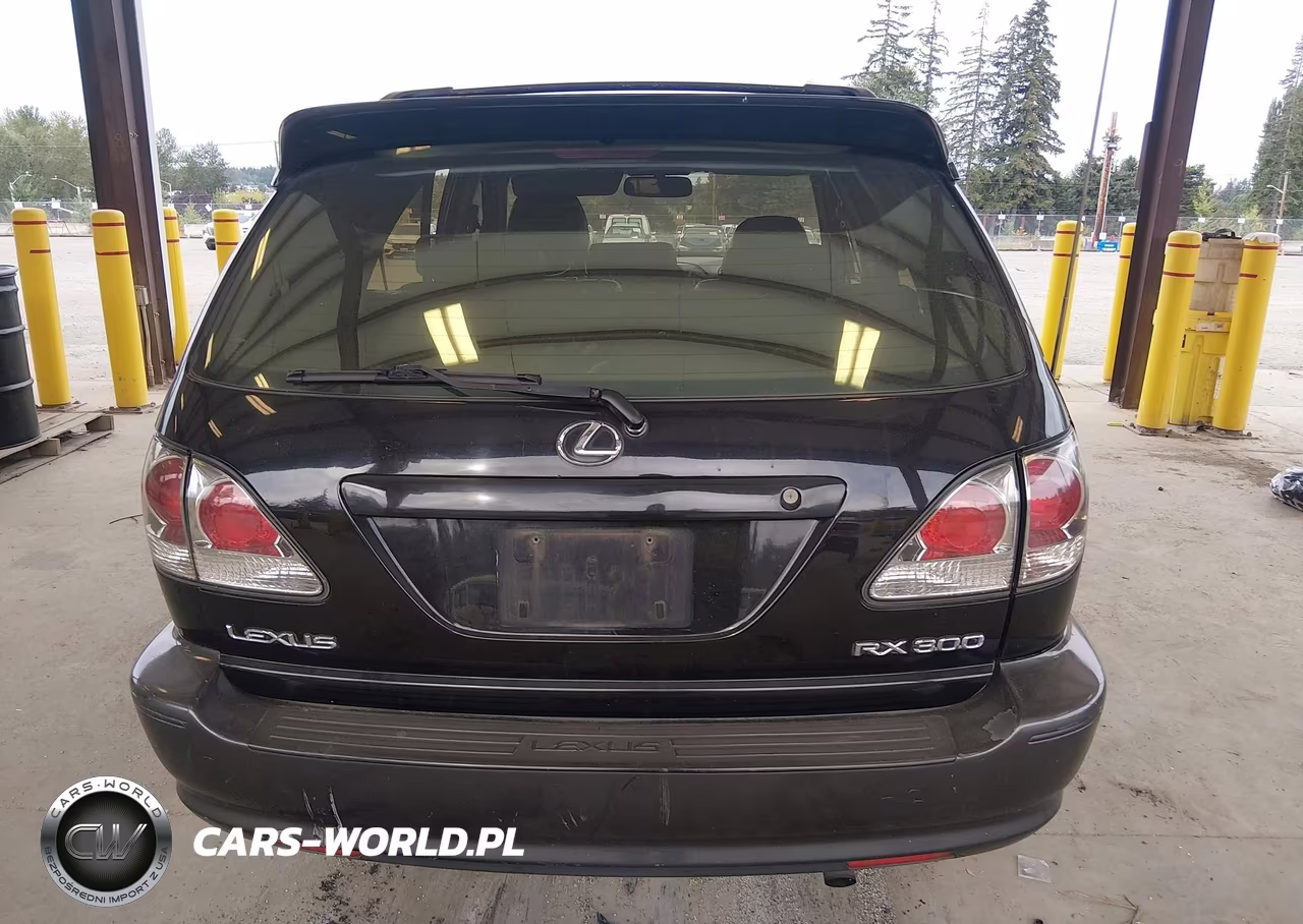 2001 Lexus Rx 300 VIN:JTJGF10UX10093601 - 16