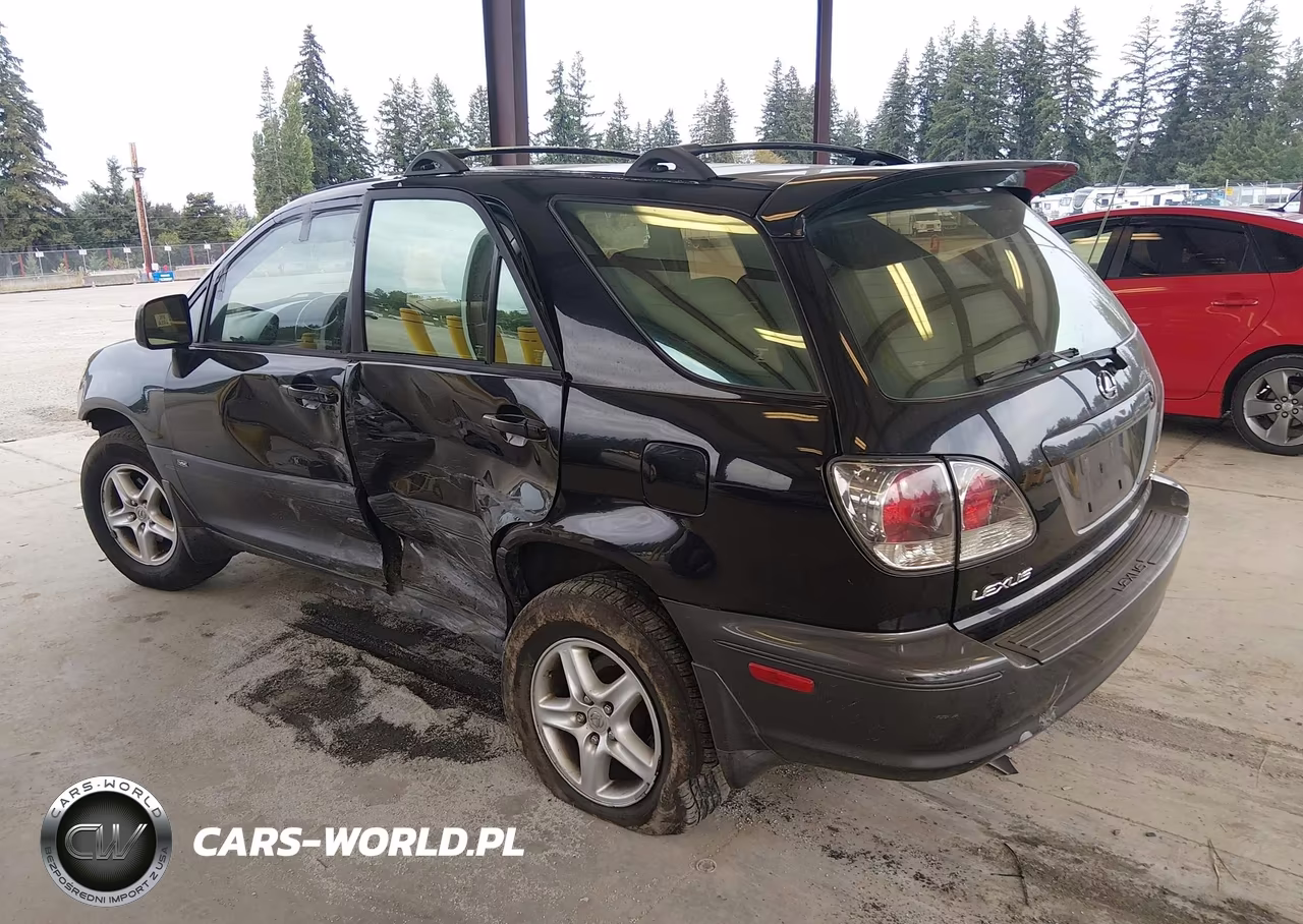 2001 Lexus Rx 300 VIN:JTJGF10UX10093601 - 3