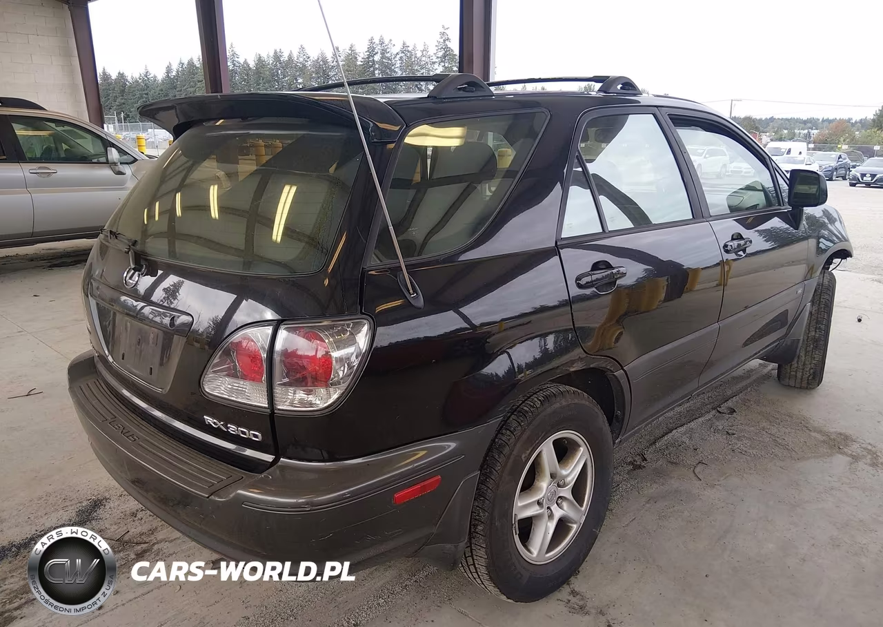 2001 Lexus Rx 300 VIN:JTJGF10UX10093601 - 4