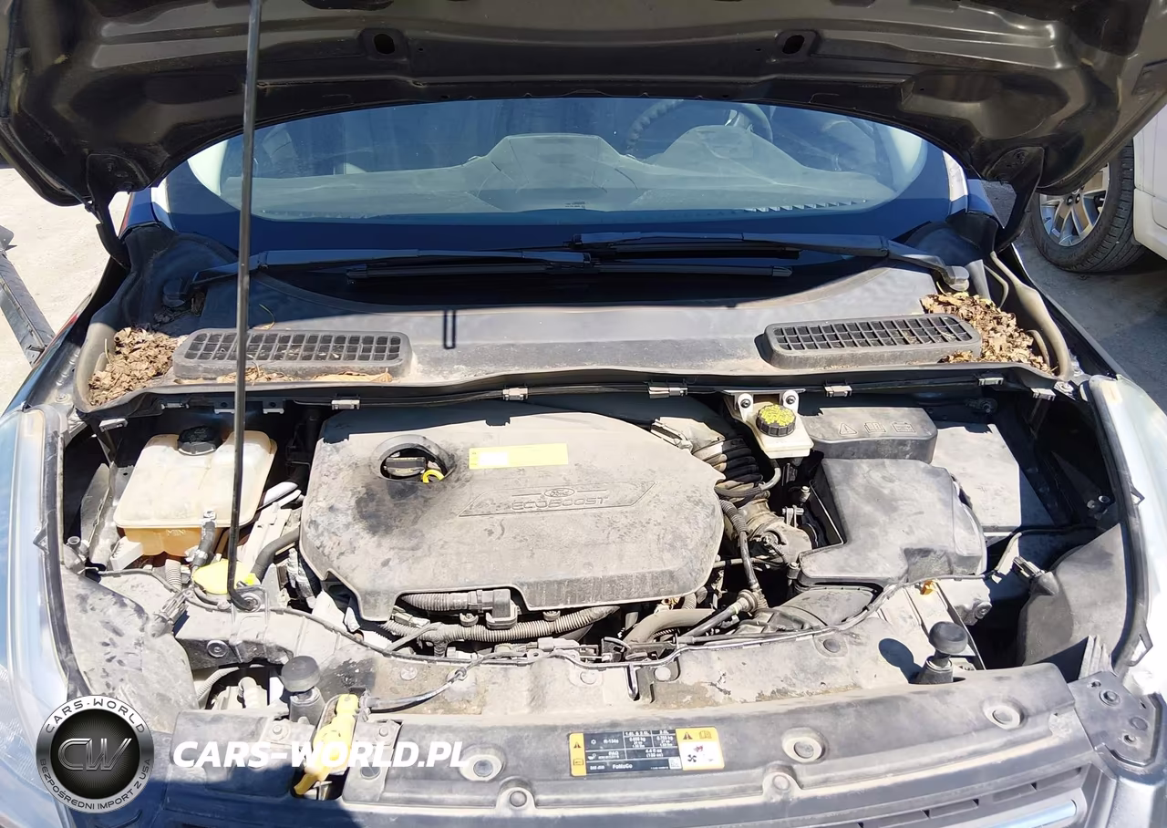 2016 Ford Escape Se VIN:1FMCU0GX9GUC24547 - 10