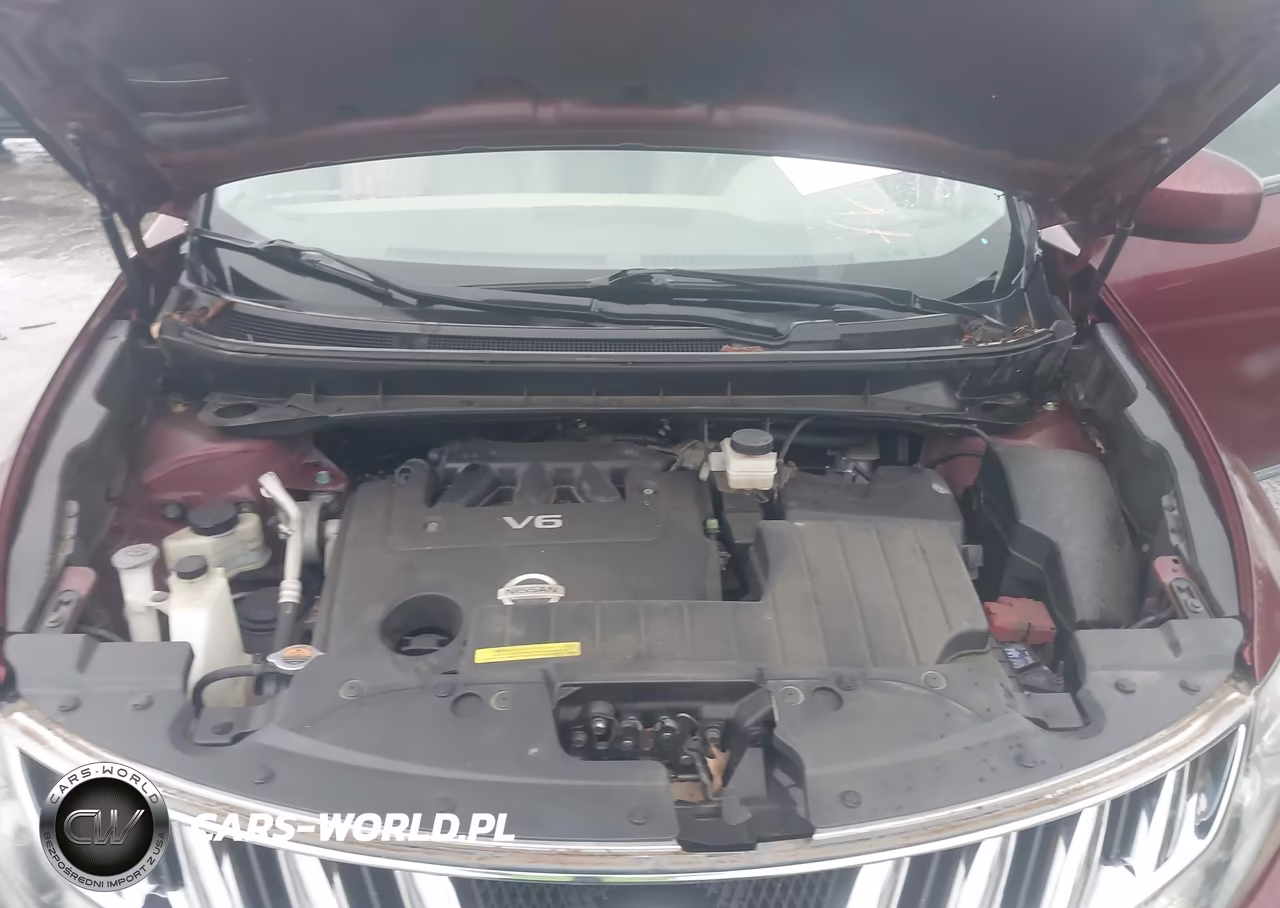 2010 Nissan Murano Sl VIN:JN8AZ1MW3AW103270 - 10