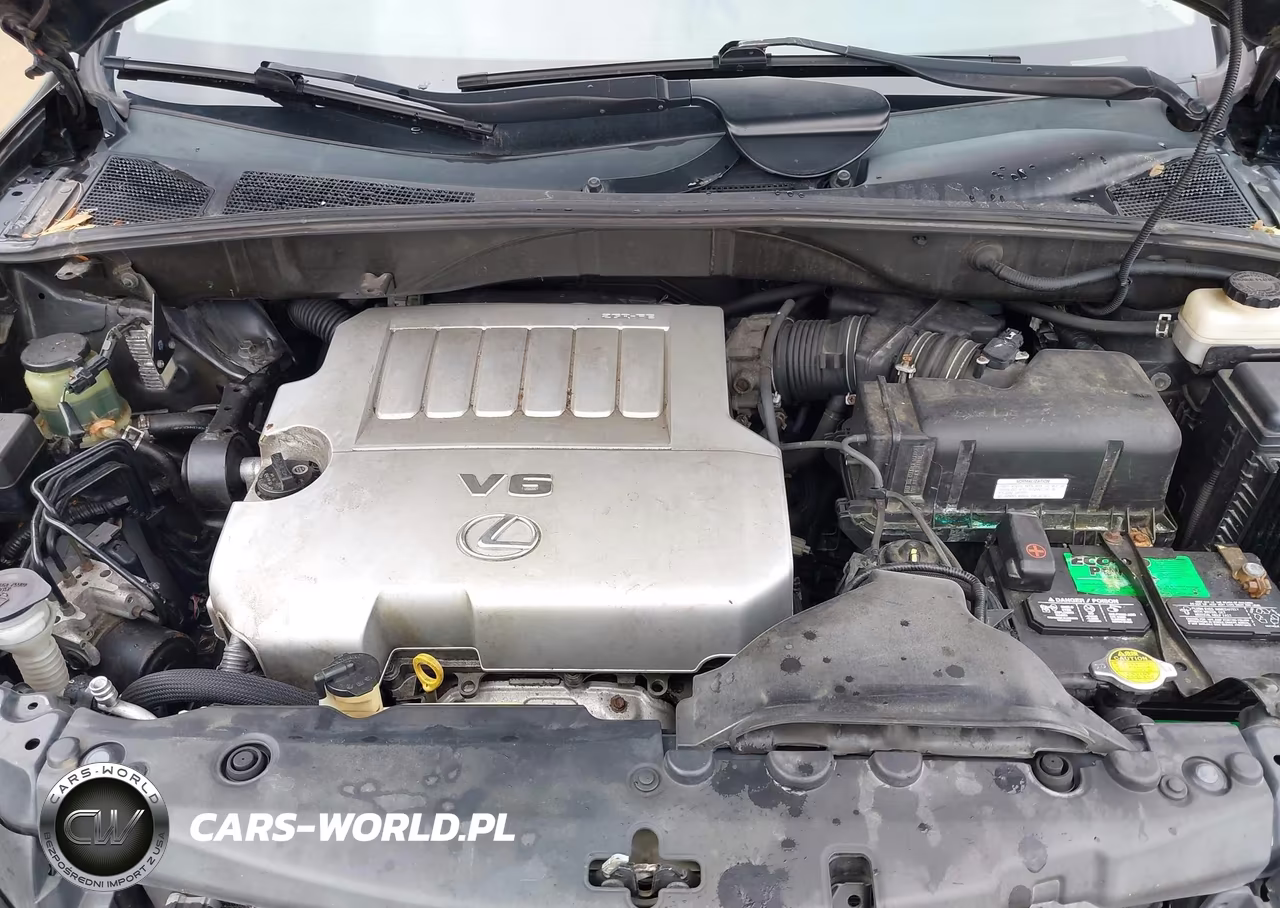 2009 Lexus Rx 350 VIN:2T2HK31U19C110683 - 10