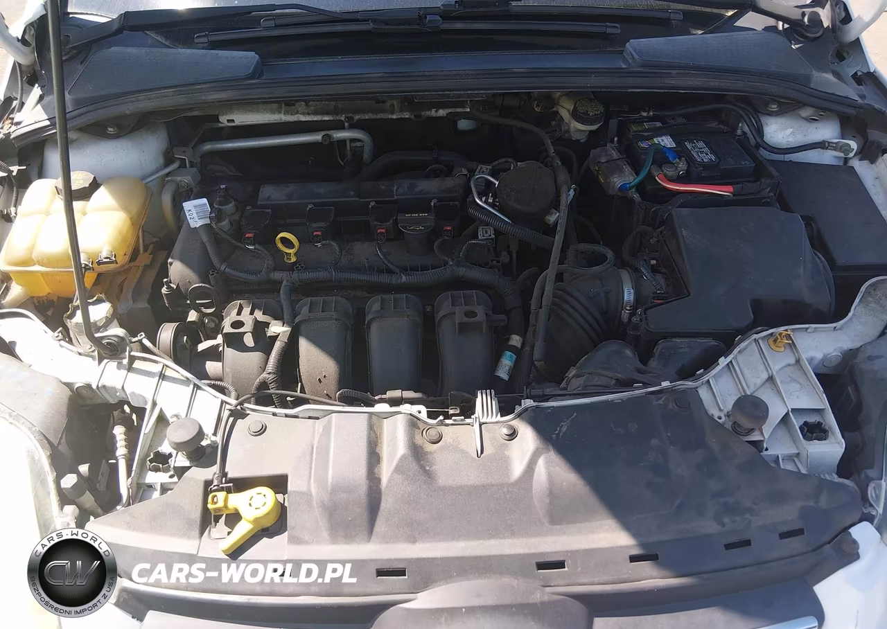 2014 Ford Focus Se VIN:1FADP3F25EL231320 - 10