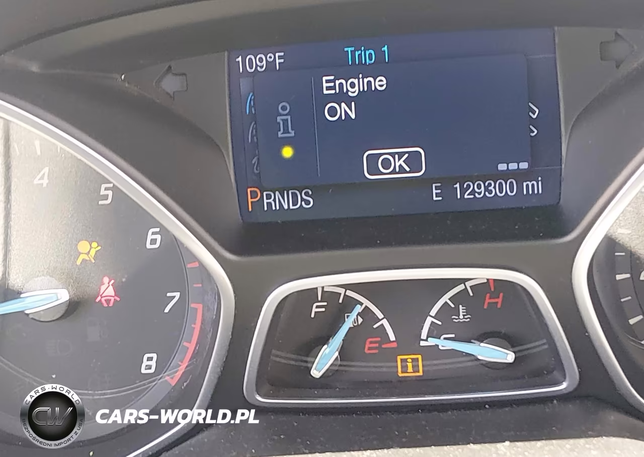2014 Ford Focus Se VIN:1FADP3F25EL231320 - 16