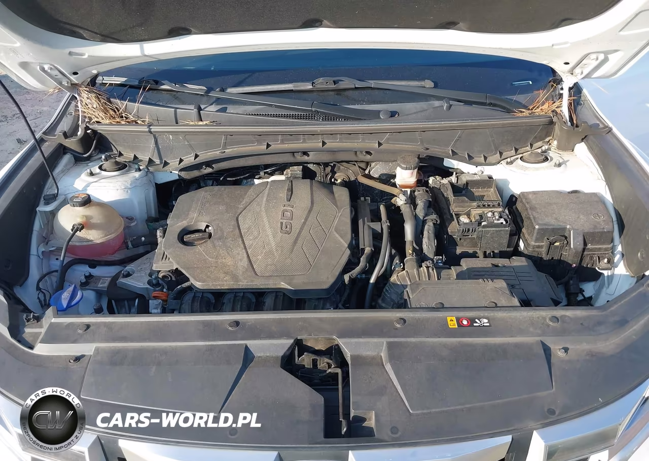 2022 Hyundai Santa Cruz Sel VIN:5NTJC4AEXNH019082 - 10