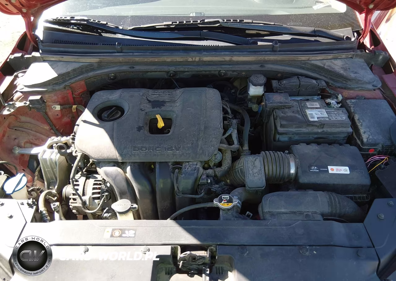 2019 Hyundai Elantra Sel VIN:KMHD84LFXKU773020 - 10