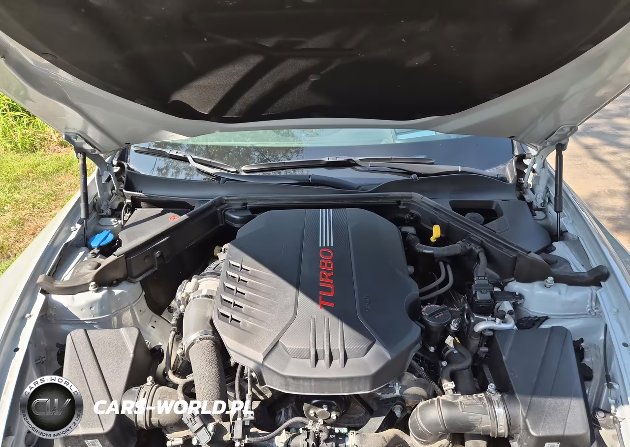 2023 Kia Stinger Gt2 VIN:KNAE55LC7P6127469 - 10