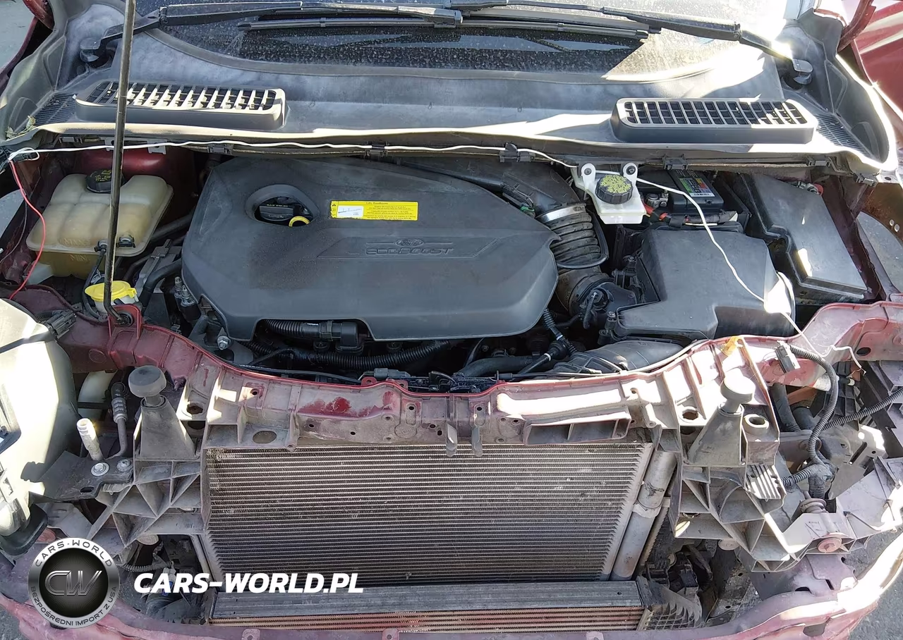 2016 Ford Escape Titanium VIN:1FMCU0JX9GUA24664 - 10