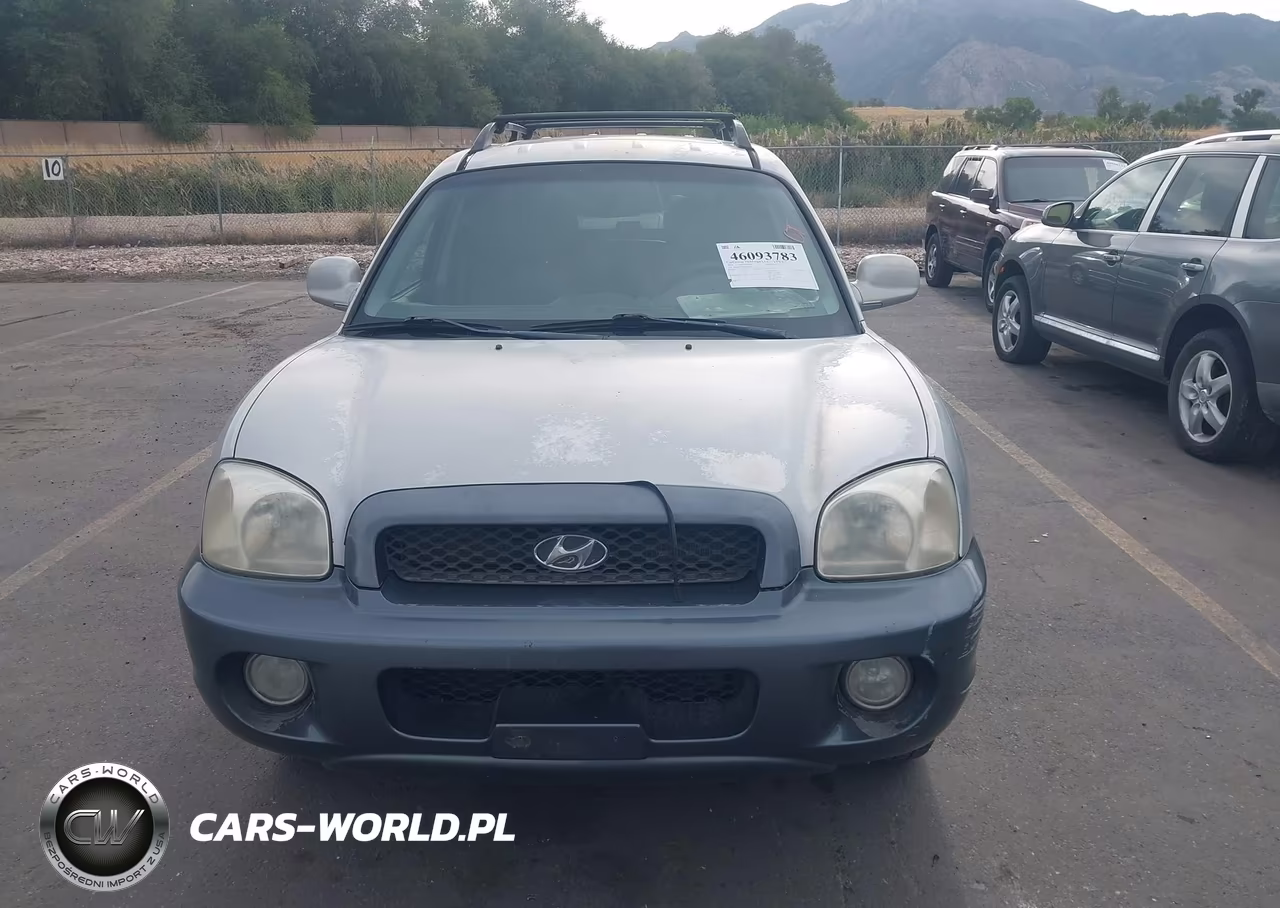 2004 Hyundai Santa Fe Gls-Lx VIN:KM8SC73E74U612822 - 6