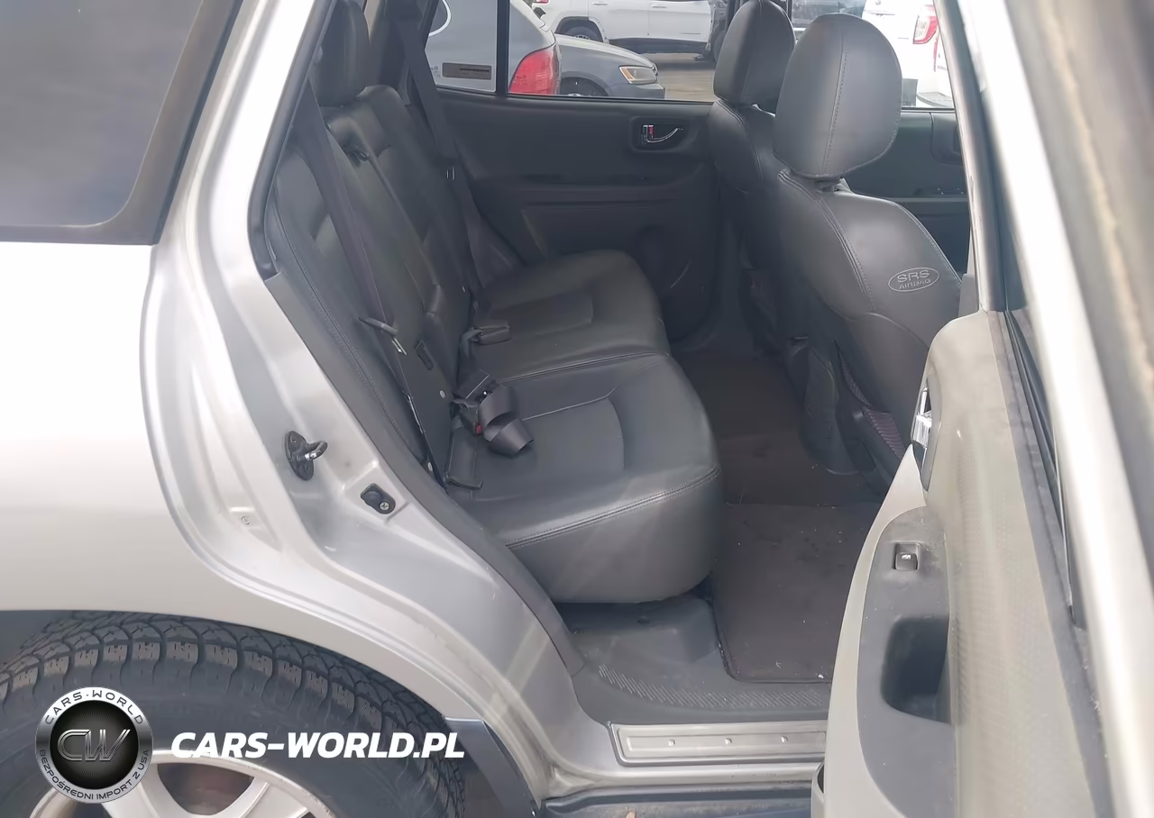 2004 Hyundai Santa Fe Gls-Lx VIN:KM8SC73E74U612822 - 8