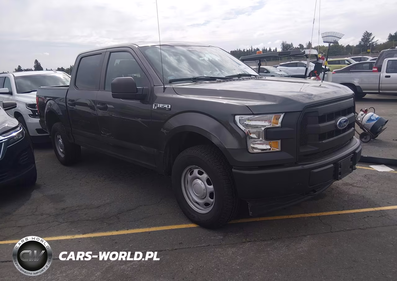 2017 Ford F-150 Xl – zdjęcie 1 z 18