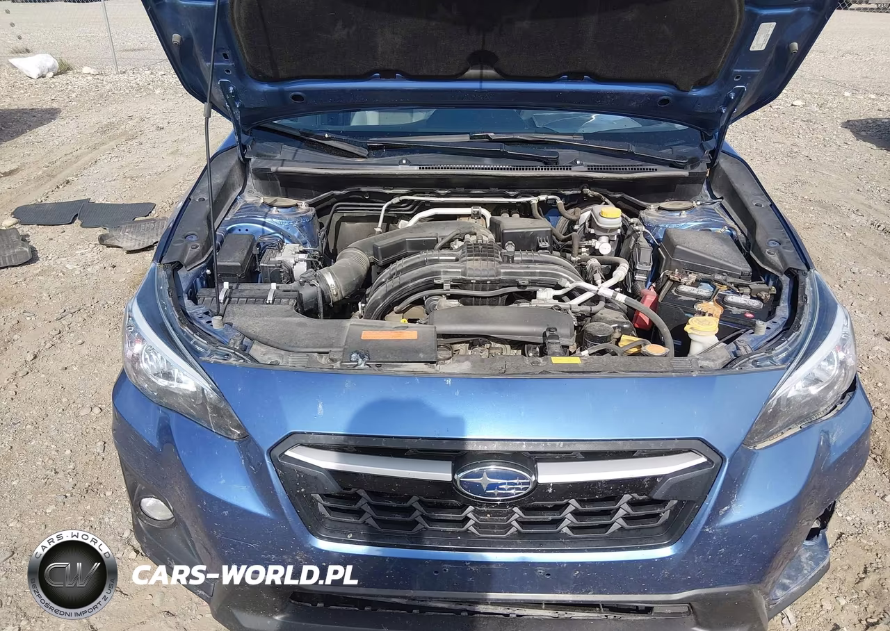 2019 Subaru Crosstrek 2.0I Premium VIN:JF2GTACCXKH317761 - 10