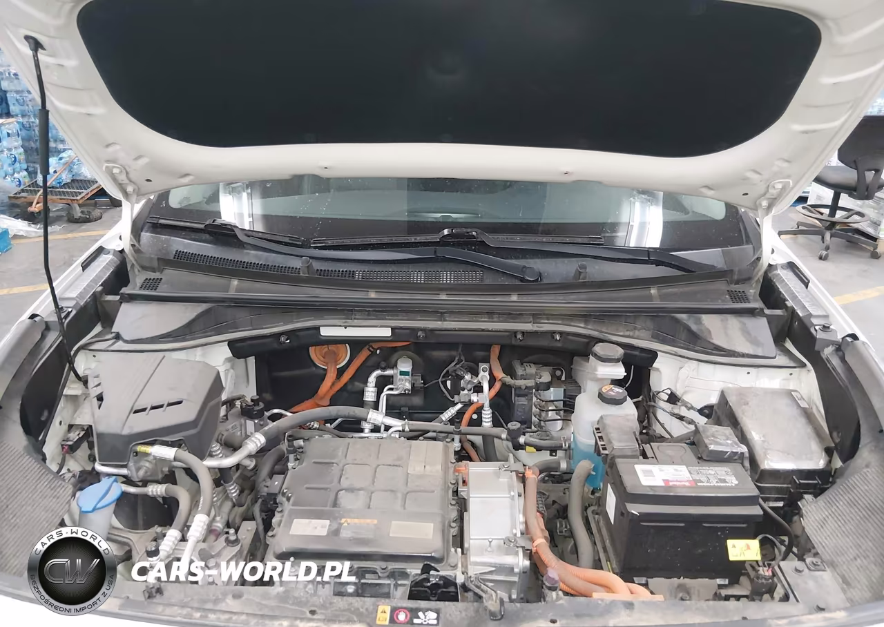 2022 Kia Niro Ev Ex Premium VIN:KNDCE3LG2N5156320 - 10