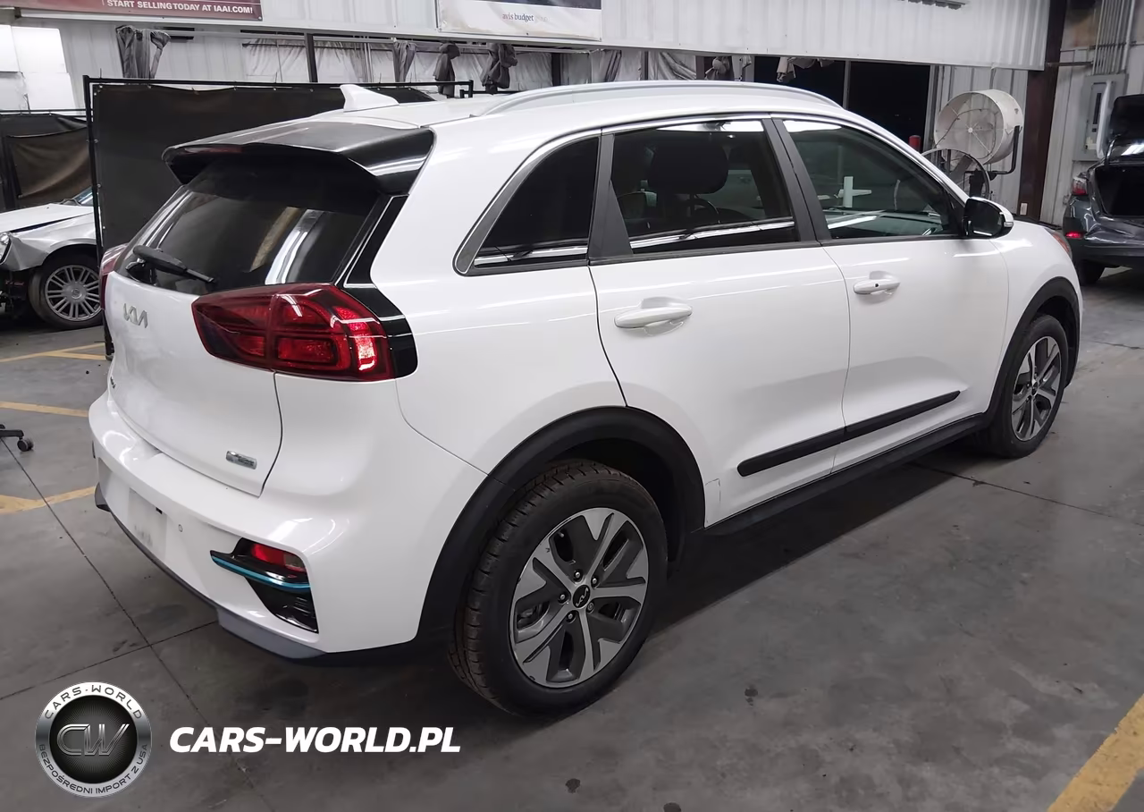 2022 Kia Niro Ev Ex Premium VIN:KNDCE3LG2N5156320 - 4