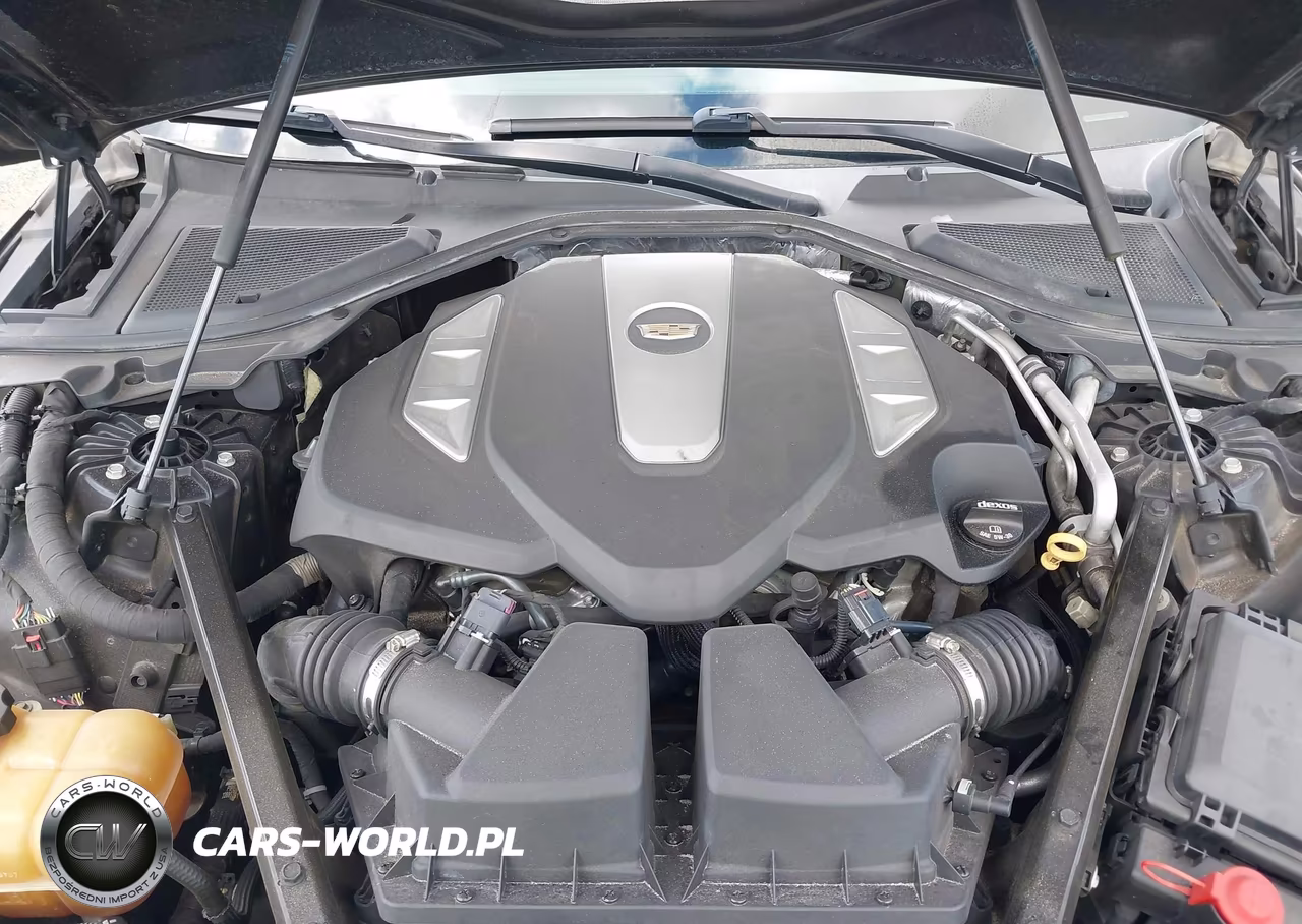 2019 Cadillac Ct6 Sport VIN:1G6KN5R61KU107460 - 10