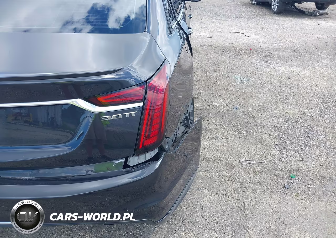 2019 Cadillac Ct6 Sport VIN:1G6KN5R61KU107460 - 6