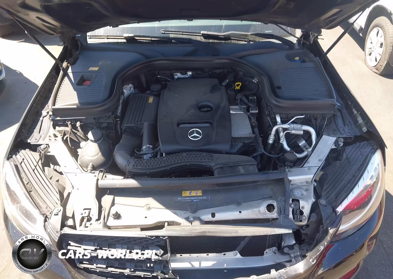 2016 Mercedes-Benz Glc 300 VIN:WDC0G4JBXGF083036 - 10