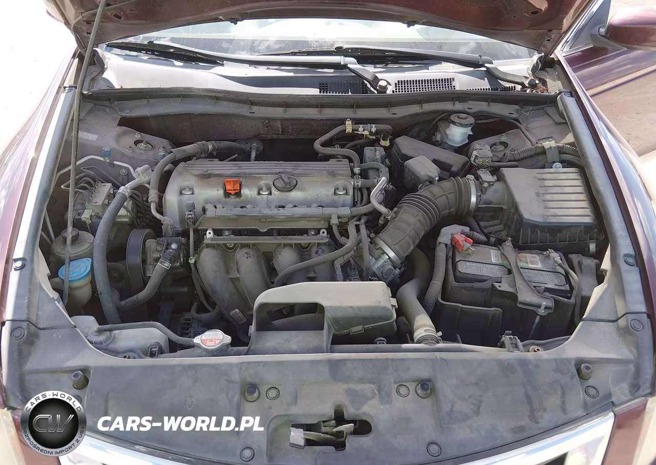 2010 Honda Accord 2.4 Lx VIN:1HGCP2F31AA198316 - 10