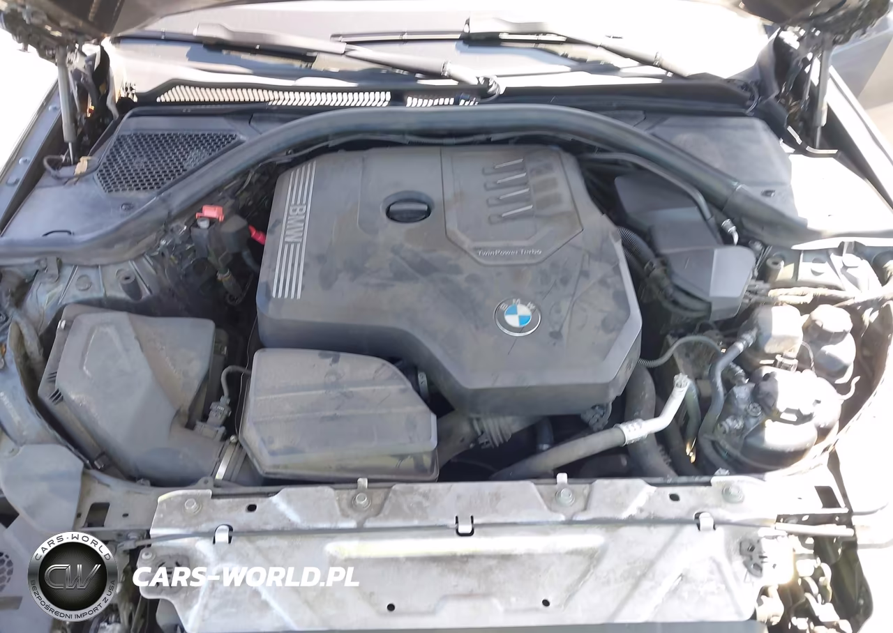 2019 BMW 330I VIN:3MW5R1J58K8B02230 - 10