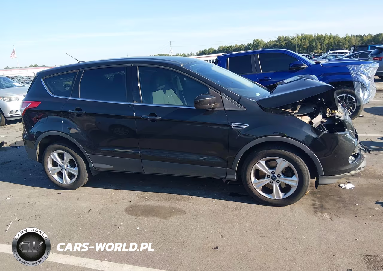 2013 Ford Escape Se VIN:1FMCU0G90DUC03020 - 14