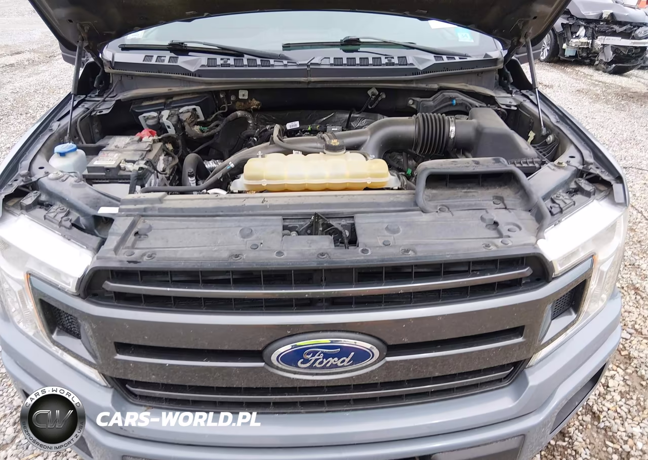 2019 Ford F-150 Xlt VIN:1FTEW1EP7KKC72925 - 10