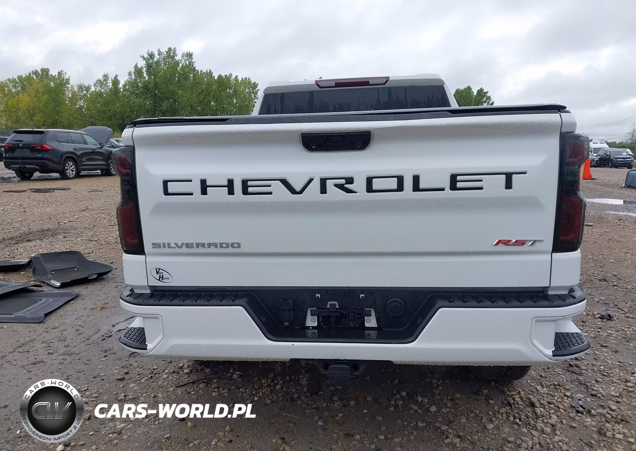 2023 Chevrolet Silverado 1500 Rst VIN:1GCUDEED4PZ122204 - 16