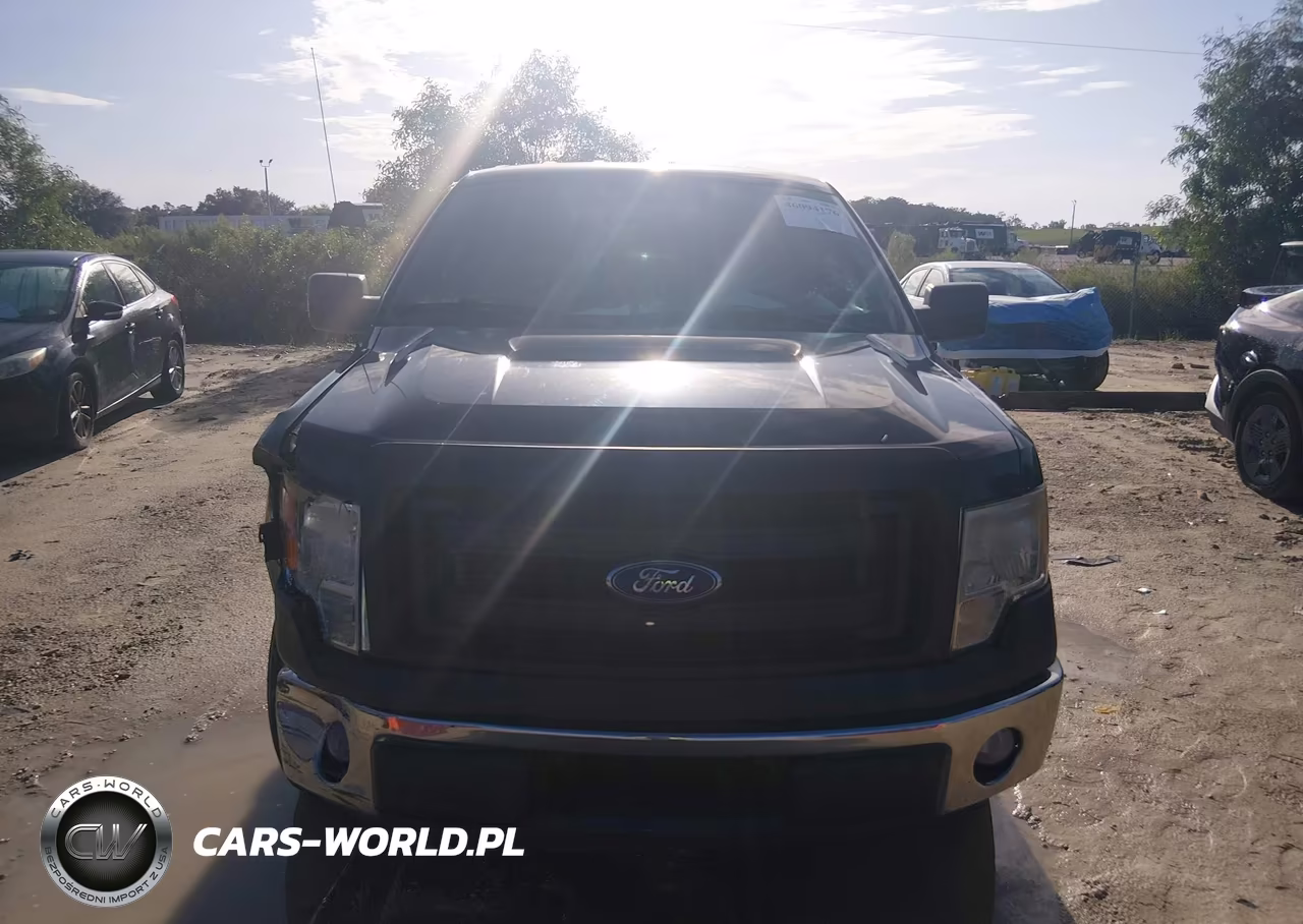 2013 Ford F-150 Xl VIN:1FTMF1CM5DKG05226 - 12
