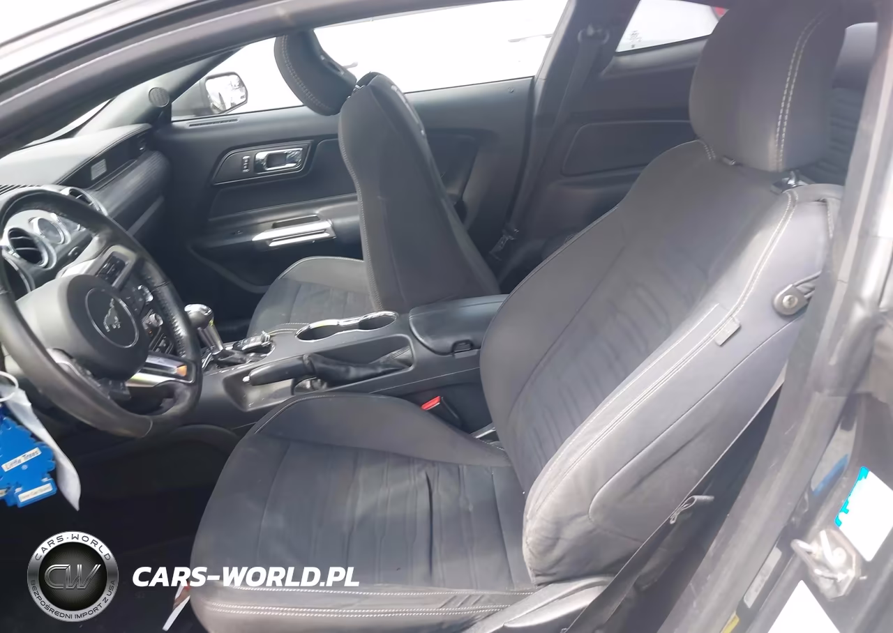 2016 Ford Mustang Ecoboost VIN:1FA6P8TH7G5268407 - 19