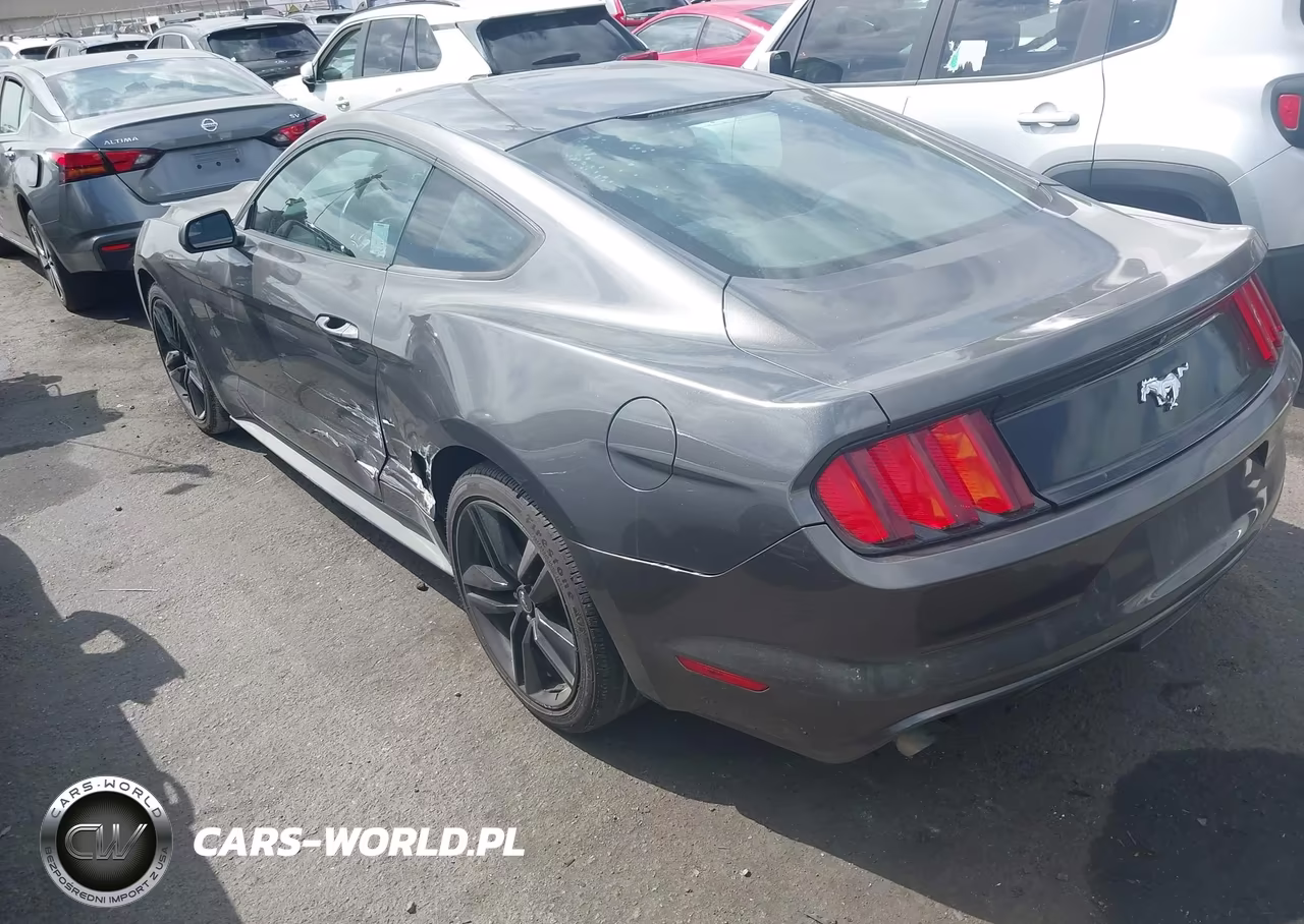 2016 Ford Mustang Ecoboost VIN:1FA6P8TH7G5268407 - 3