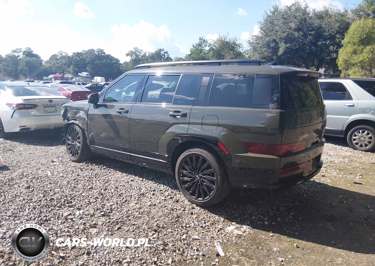 2024 Hyundai Santa Fe Calligraphy VIN:5NMP54GL7RH032254 - 3