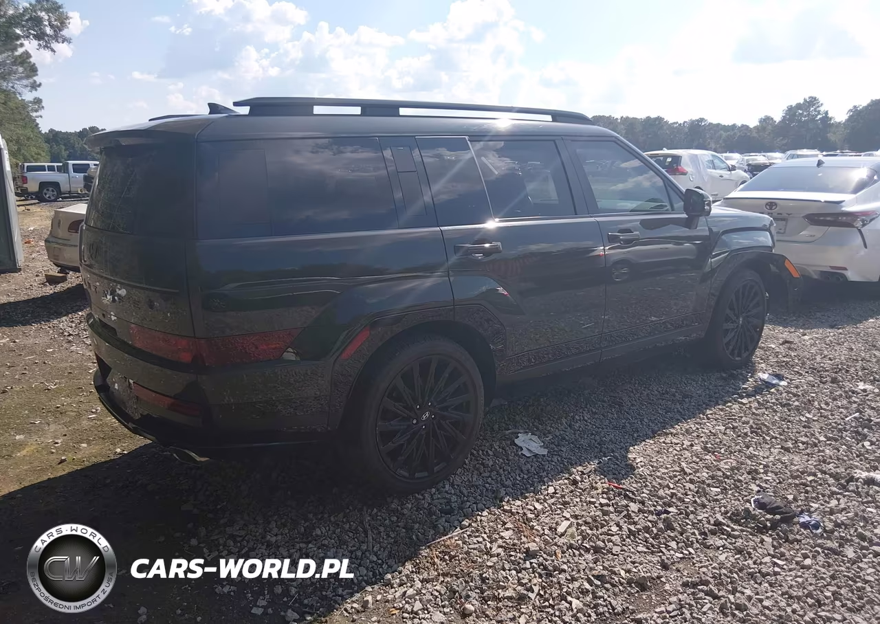 2024 Hyundai Santa Fe Calligraphy VIN:5NMP54GL7RH032254 - 4