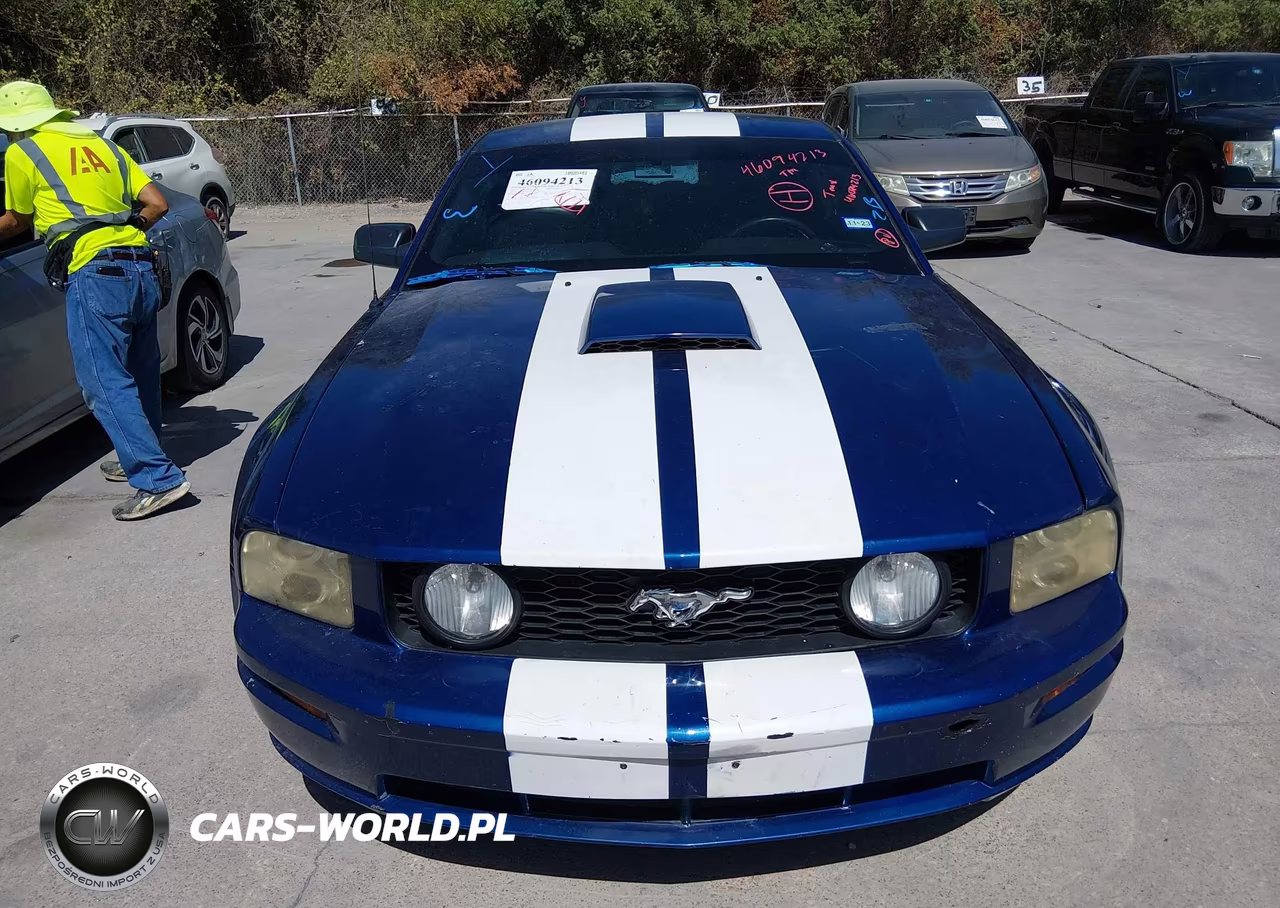 2007 Ford Mustang Gt Deluxe-Gt Premium VIN:1ZVFT82HX75251072 - 12