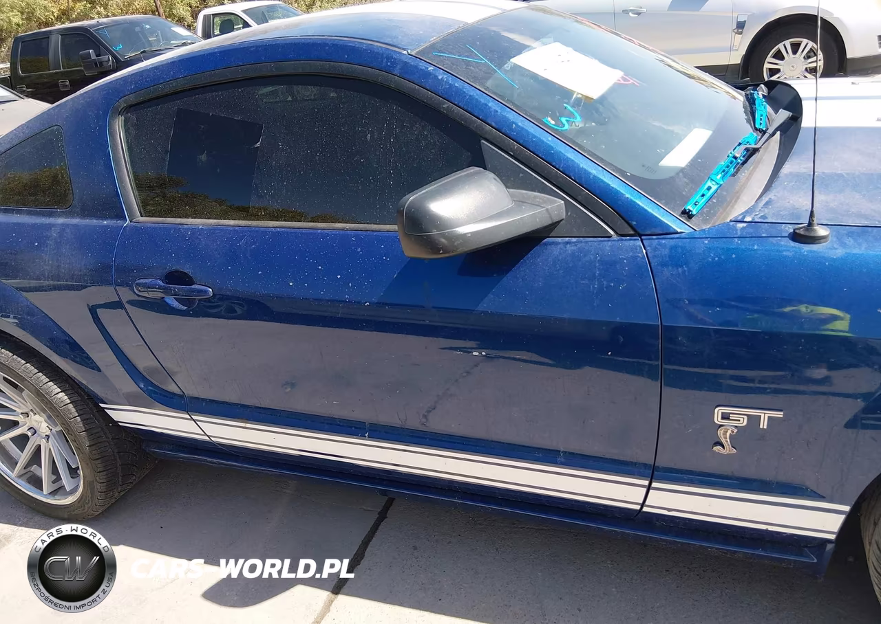 2007 Ford Mustang Gt Deluxe-Gt Premium VIN:1ZVFT82HX75251072 - 13