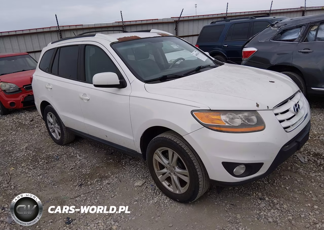2010 Hyundai Santa Fe Se